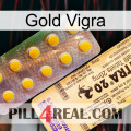 Gold Vigra new06